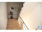 Appartements FJAKA - Sv. Filip i Jakov Kroatien
