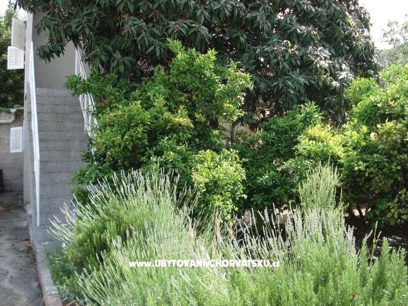 Appartements Jadra  – Ferienwohnung Sv. Filip i Jakov, Kroatien – Foto 9