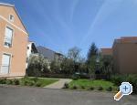 Appartements Kalova - Sv. Filip i Jakov Croatie