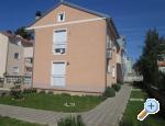 Appartements Kalova - Sv. Filip i Jakov Croatie