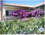 Appartements Lia - Sv. Filip i Jakov Croatie