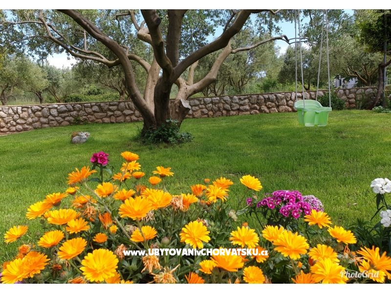 Appartements Marina – Ferienwohnung Sv. Filip i Jakov, Kroatien – Foto 15