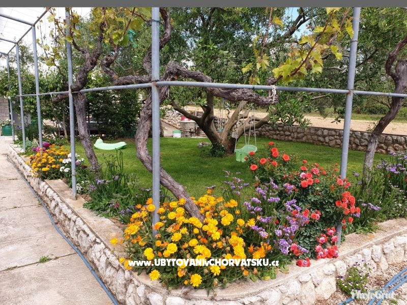 Appartements Marina – Ferienwohnung Sv. Filip i Jakov, Kroatien – Foto 2