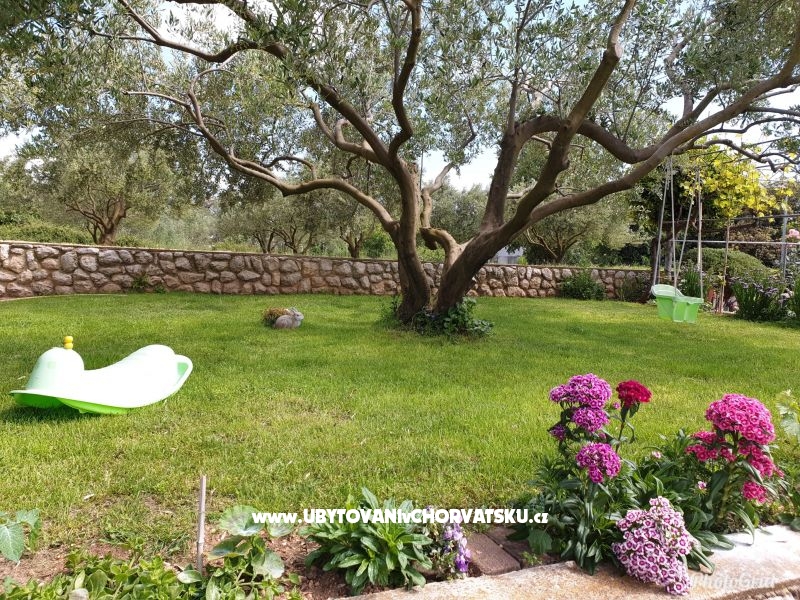 Appartements Marina – Ferienwohnung Sv. Filip i Jakov, Kroatien – Foto 4