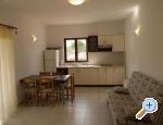 Appartements Markic - Sv. Filip i Jakov Croatie