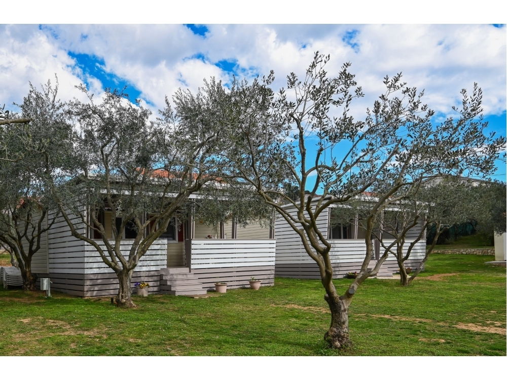 Appartements Miluka - Sv. Filip i Jakov Croatie