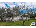 Appartements Miluka - Sv. Filip i Jakov Kroatien