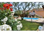 Appartements Miluka - Sv. Filip i Jakov Croatie