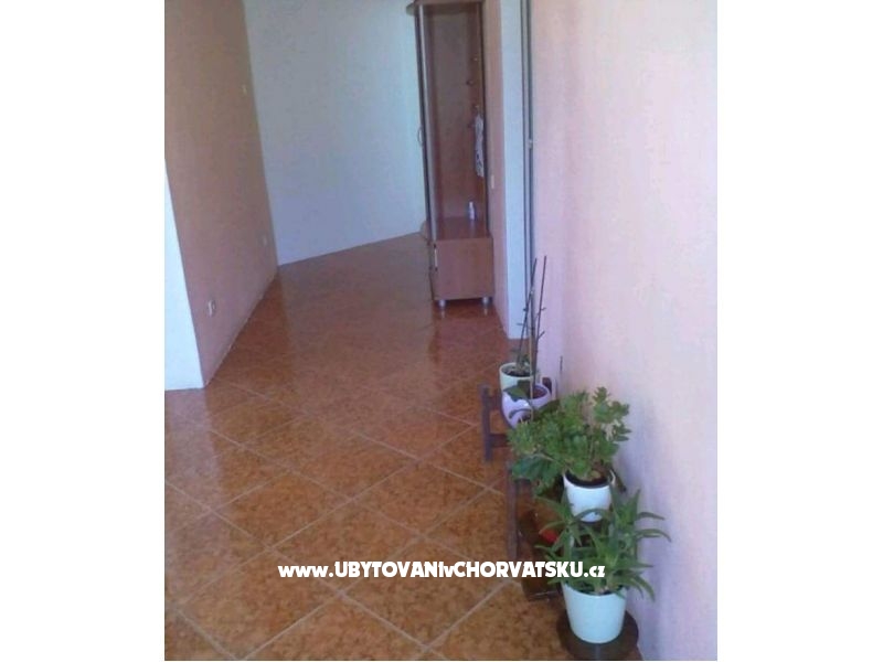 Appartements Paula – Ferienwohnung Sv. Filip i Jakov, Kroatien – Foto 7