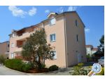 Appartements Zelanto - Sv. Filip i Jakov Croatie