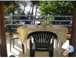 Appartements PARK - Sv. Filip i Jakov Kroatien