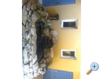 Appartements PARK - Sv. Filip i Jakov Kroatien