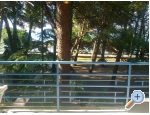 Appartements PARK - Sv. Filip i Jakov Kroatien