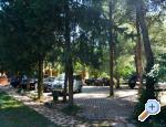 Appartements PARK - Sv. Filip i Jakov Kroatien