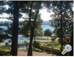 Appartements PARK - Sv. Filip i Jakov Kroatien