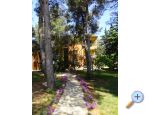 Appartements PARK - Sv. Filip i Jakov Kroatien
