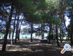 Appartements PARK - Sv. Filip i Jakov Kroatien