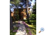 Appartements PARK - Sv. Filip i Jakov Kroatien