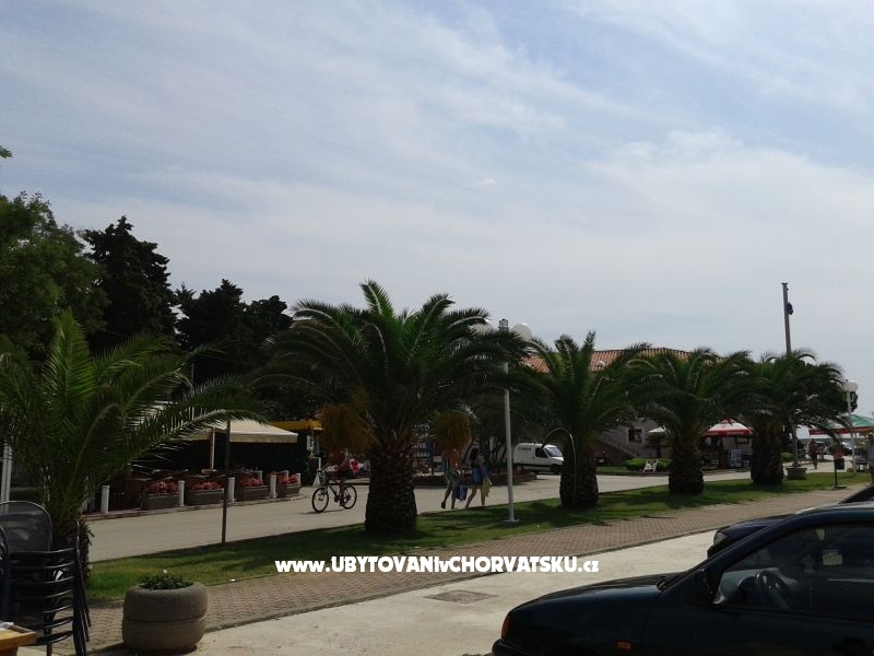 Ferienwohnungen ROTA – Ferienwohnung Sv. Filip i Jakov, Kroatien – Foto 13