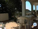 Appartements Brtan - Sv. Filip i Jakov Croatie