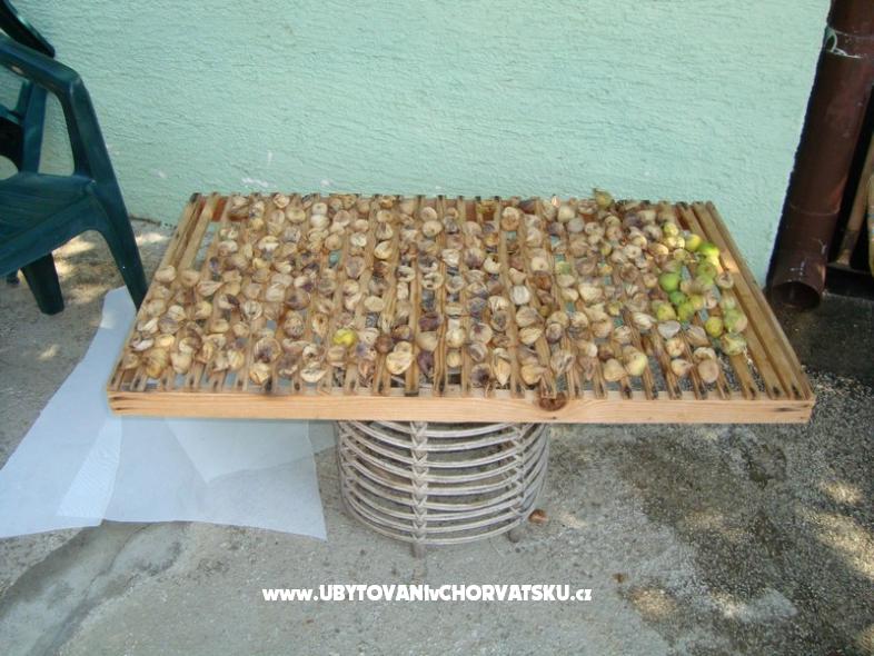 Ferienwohnungen Mirjana – Ferienwohnung Sv. Filip i Jakov, Kroatien – Foto 14