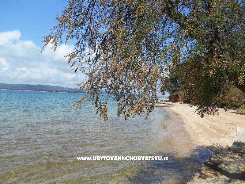 Ferienwohnungen Mirjana – Ferienwohnung Sv. Filip i Jakov, Kroatien – Foto 16