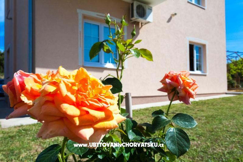 Apartmány Sea view – ubytování Sv. Filip i Jakov, Chorvatsko – foto 2