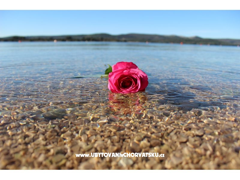 Beach Haus Amarella – Ferienwohnung Sv. Filip i Jakov, Kroatien – Foto 14