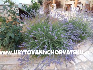 Haus Andela – Ferienwohnung Sv. Filip i Jakov, Kroatien – Foto 12