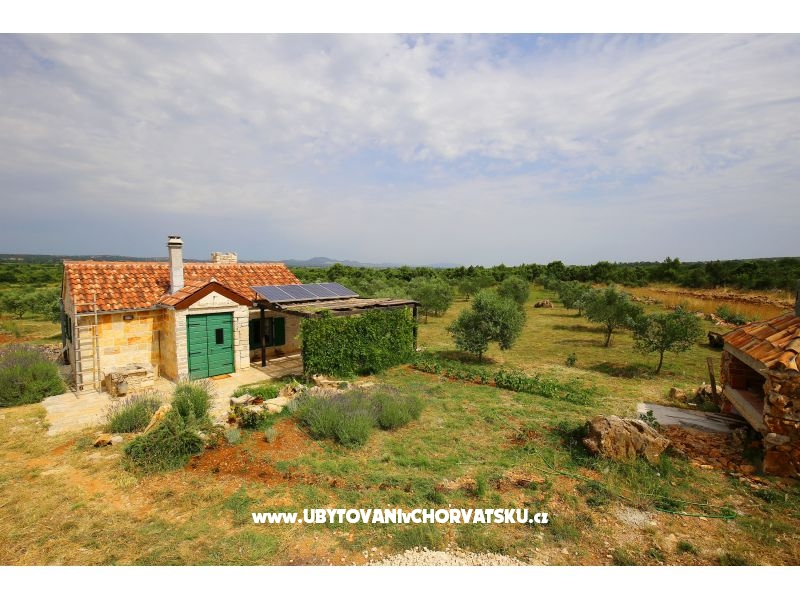 Olive Garden Paljka – Ferienwohnung Sv. Filip i Jakov, Kroatien – Foto 1