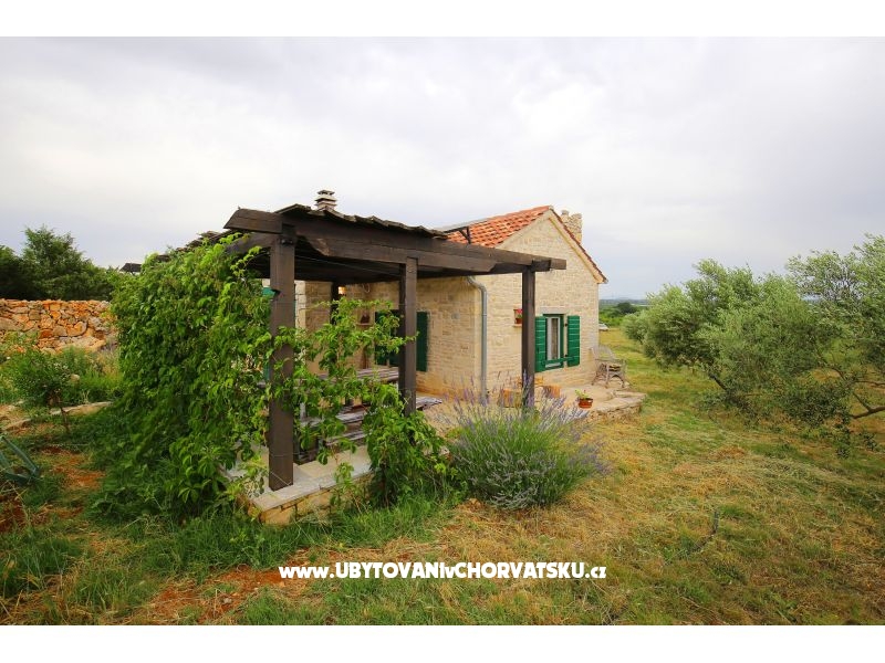 Olive Garden Paljka – Ferienwohnung Sv. Filip i Jakov, Kroatien – Foto 14