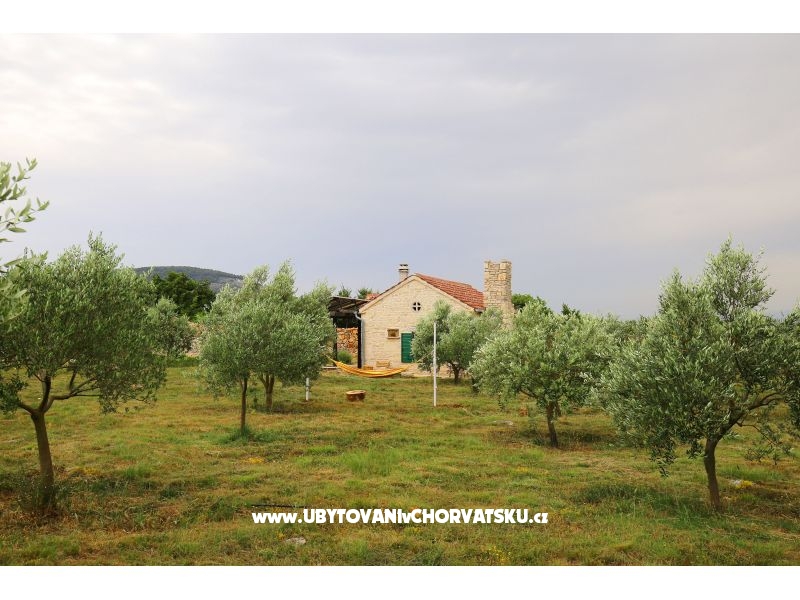 Olive Garden Paljka – Ferienwohnung Sv. Filip i Jakov, Kroatien – Foto 17