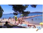 Vila Palma - B88 apartments - Sv. Filip i Jakov Croatie