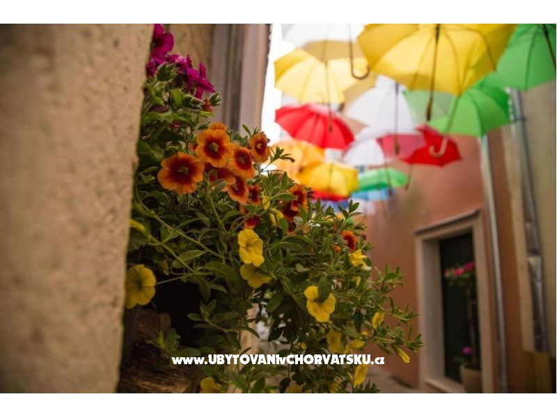 Villa Casablanca  – Ferienwohnung Sv. Filip i Jakov, Kroatien – Foto 4