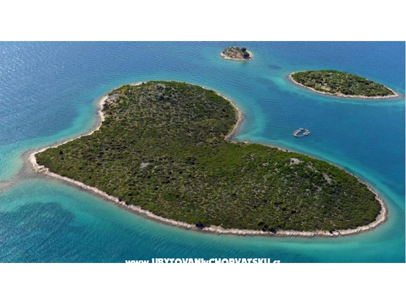 Villa Casablanca  – Ferienwohnung Sv. Filip i Jakov, Kroatien – Foto 6