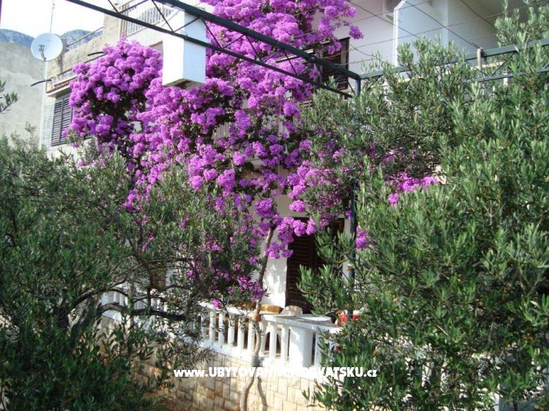 Apartmán Gradac Falak – ubytování Gradac – Podaca, Chorvatsko – foto 13