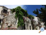 Apartmn Renata - Gradac  Podaca Chorvatsko