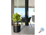 Appartements AnitaS - Gradac  Podaca Kroatien
