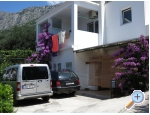 Appartements Delfin - Gradac  Podaca Kroatien