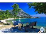 Apartmaji Delfin - Gradac  Podaca Hrvaka