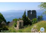 Apartmaji Delfin - Gradac  Podaca Hrvaka