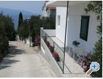 Apartmaji Delfin - Gradac  Podaca Hrvaka
