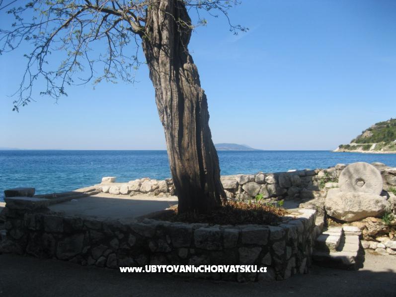 Apartment Ines – Ferienwohnung Gradac – Podaca, Kroatien – Foto 9