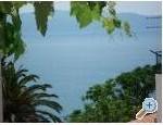 Apartmaji Ivana - Gradac  Podaca Hrvaka