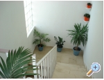 Appartements Ivana - Gradac  Podaca Kroatien