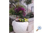 Apartments Ivana - Gradac  Podaca Croatia
