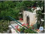 Apartmaji Ivana - Gradac  Podaca Hrvaka