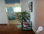 Apartmaji Jure i Marko - Gradac  Podaca Hrvaka