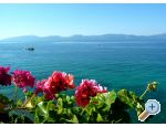 Apartmaji Martina - Gradac  Podaca Hrvaka
