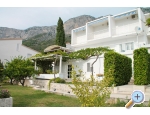 Apartmaji Mimoza - Gradac  Podaca Hrvaka